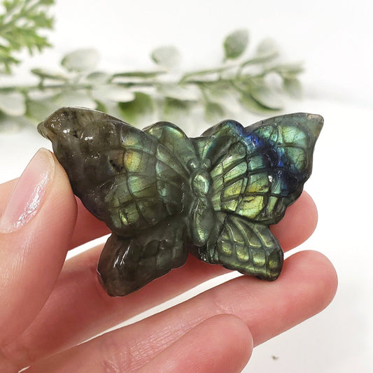 www.crystalhappenings.com/collections/butterflies