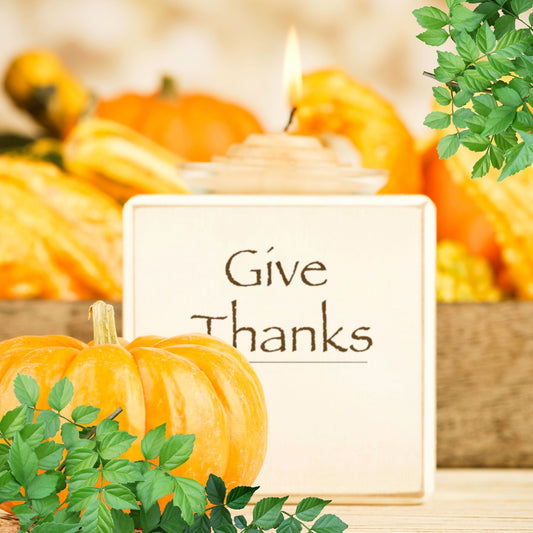 Gratitude practice Blog