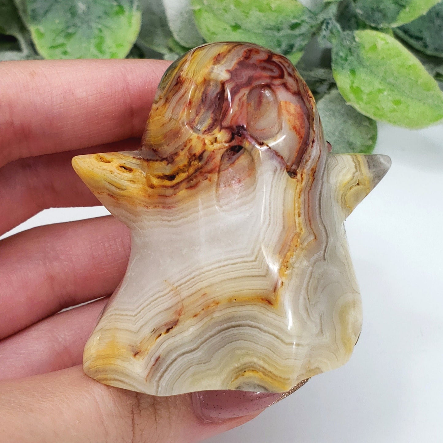 Crazy Lace Agate Ghost