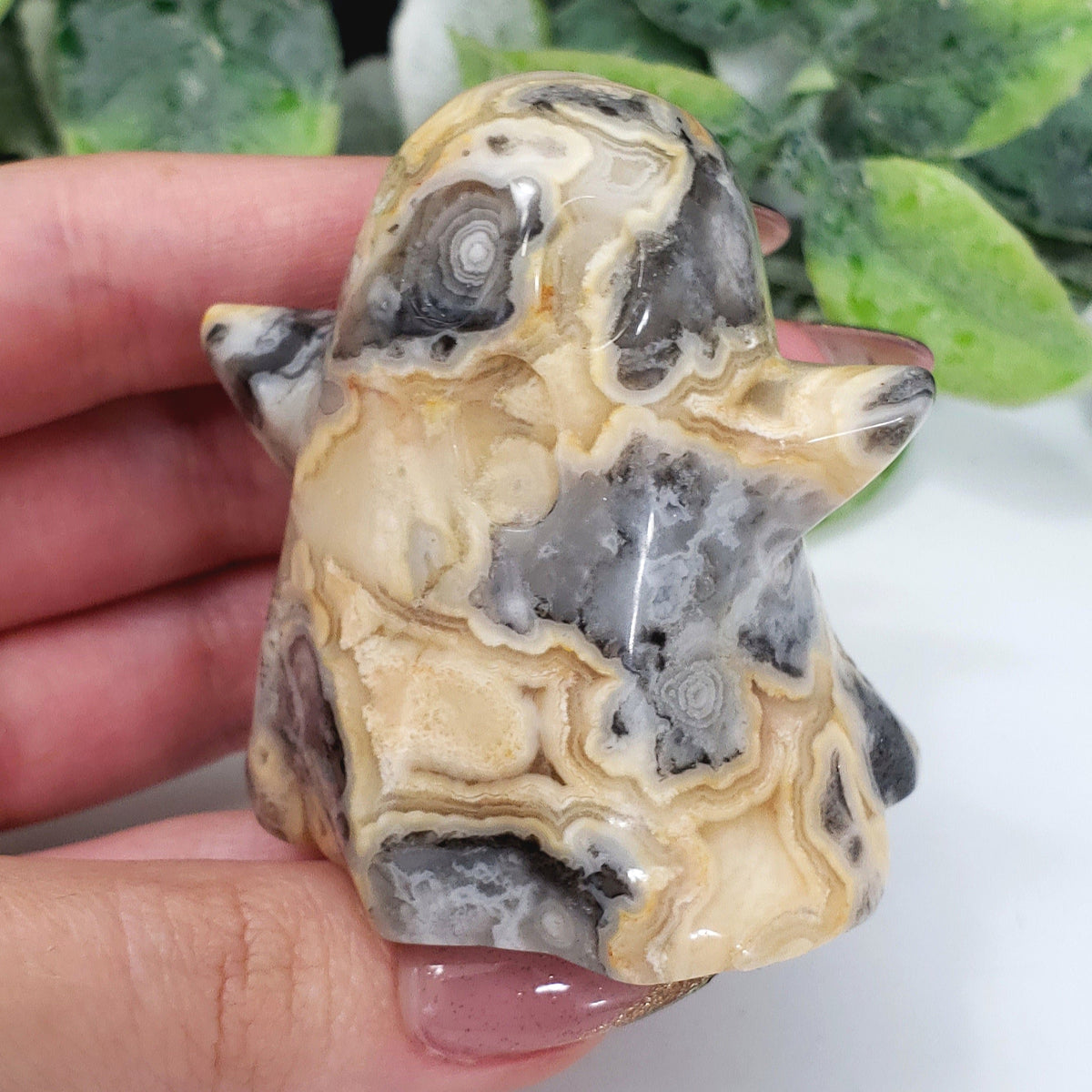 Crazy Lace Agate Ghost for Joy and Playfulness