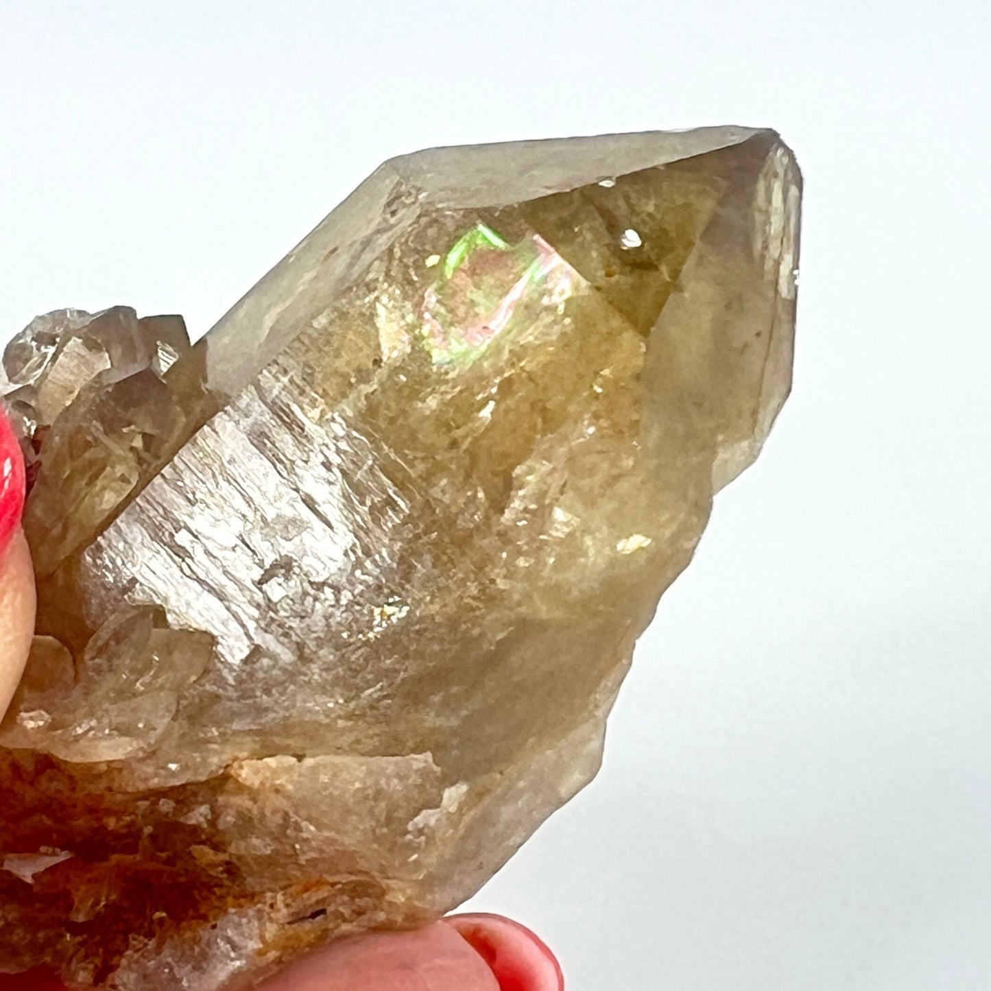 Rare Congo Citrine Point – Manifestation, Abundance & Kundalini Energy