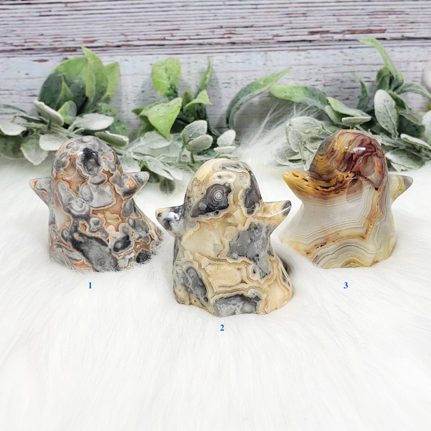 Crazy Lace Agate Ghost
