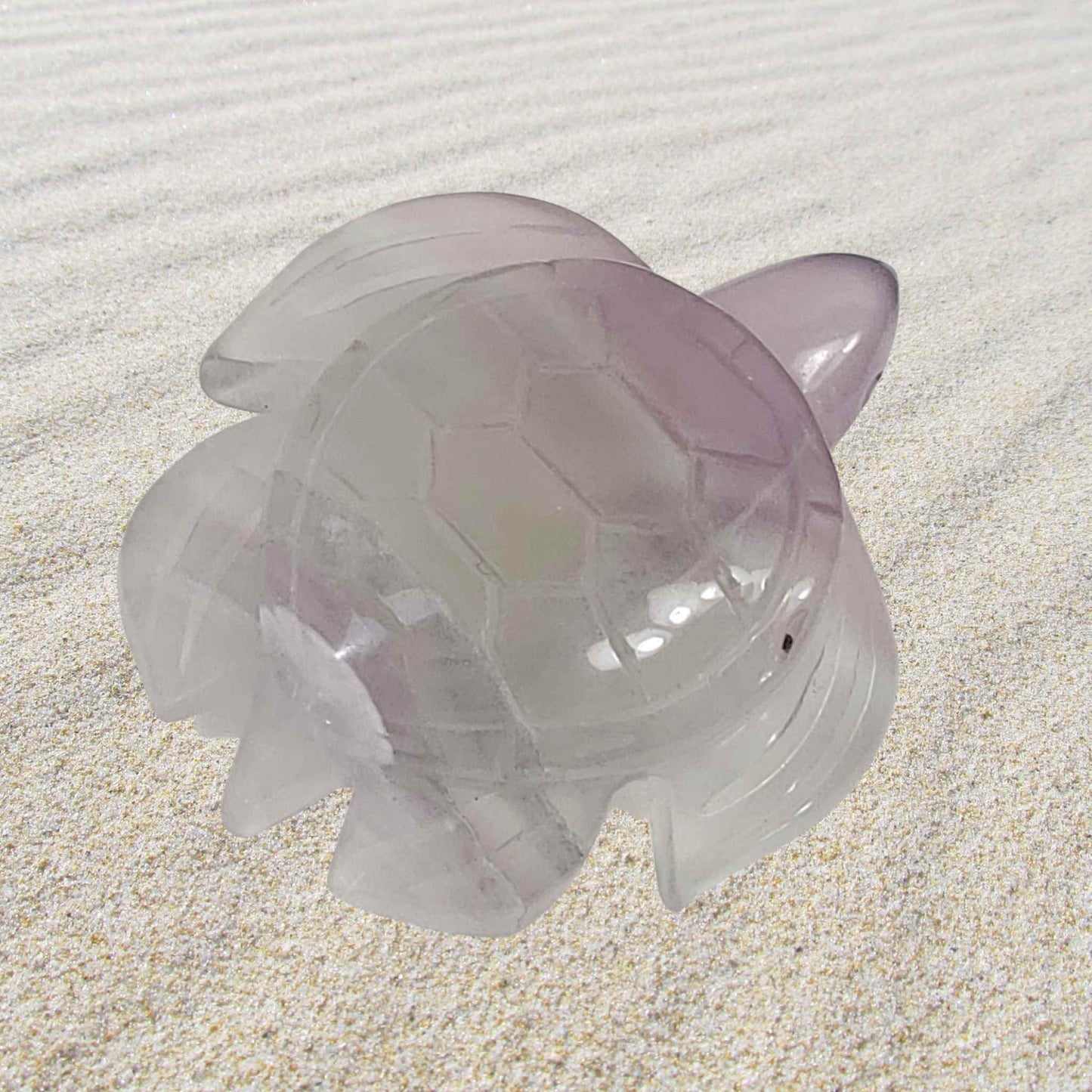 Lavender Fluorite Sea Turtle VIDEO LISTING 02