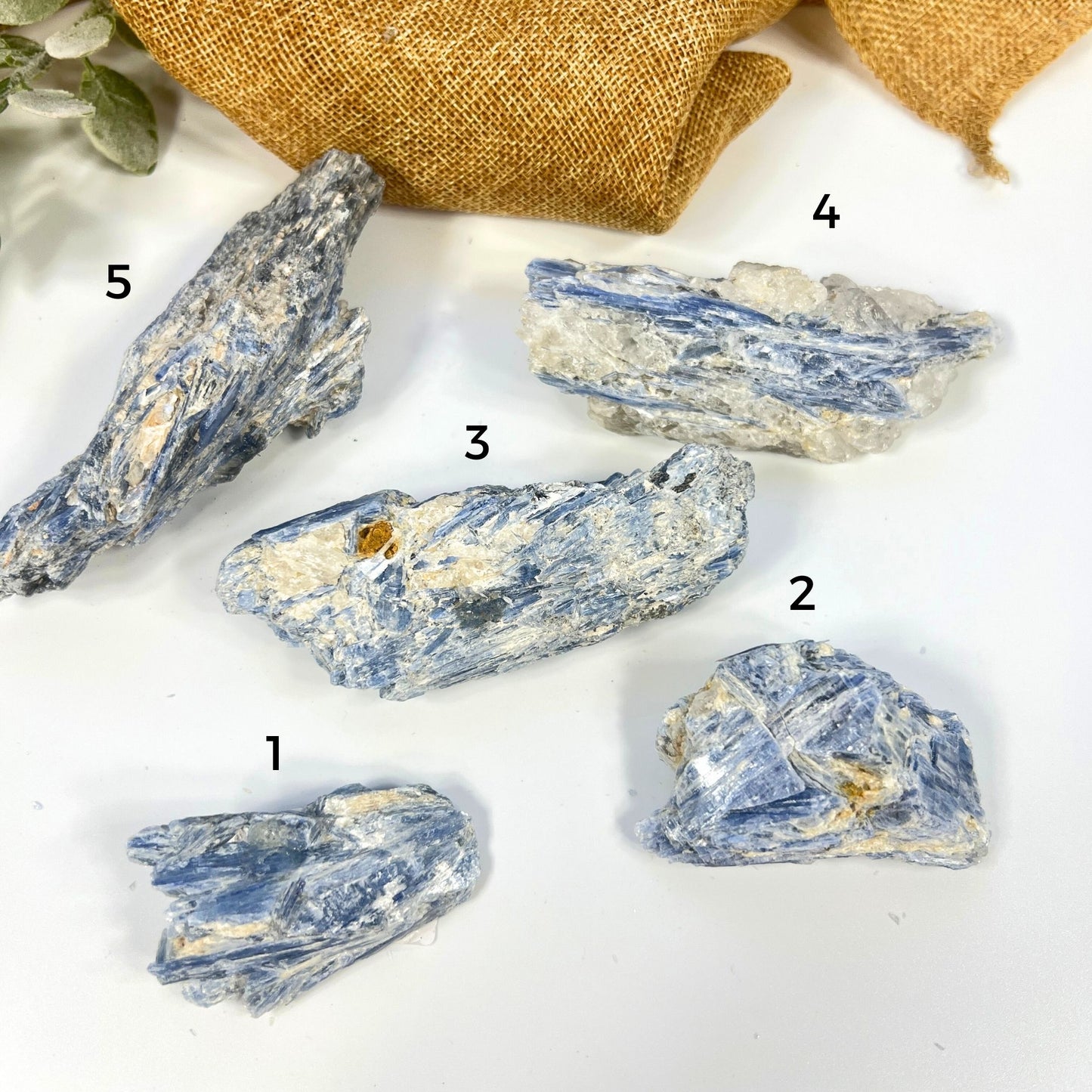 Raw Blue Kyanite with Mica & Quartz – Crystal for Alignment & Insight