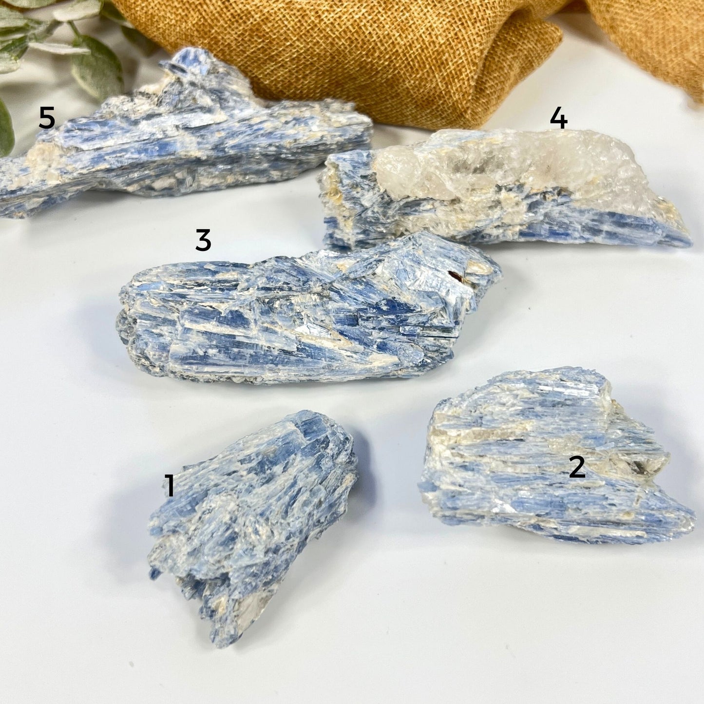 Raw Blue Kyanite with Mica & Quartz – Crystal for Alignment & Insight