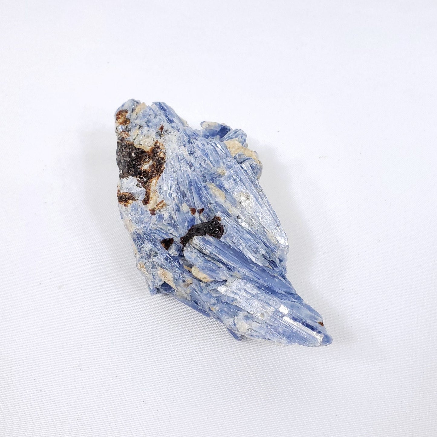 Large Raw Blue Kyanite with Garnet
