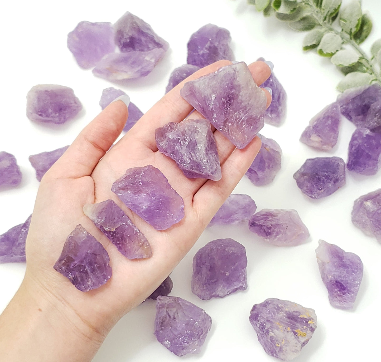 Premium Raw Amethyst Crystals