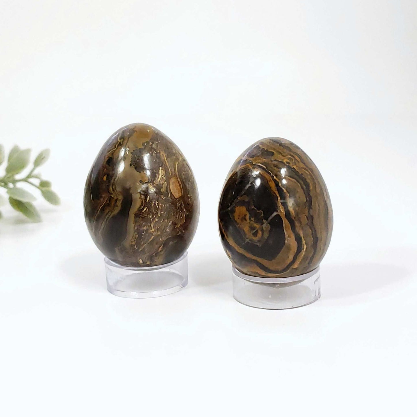 Stramatolite Crystal Fossil for Energetic Alignment