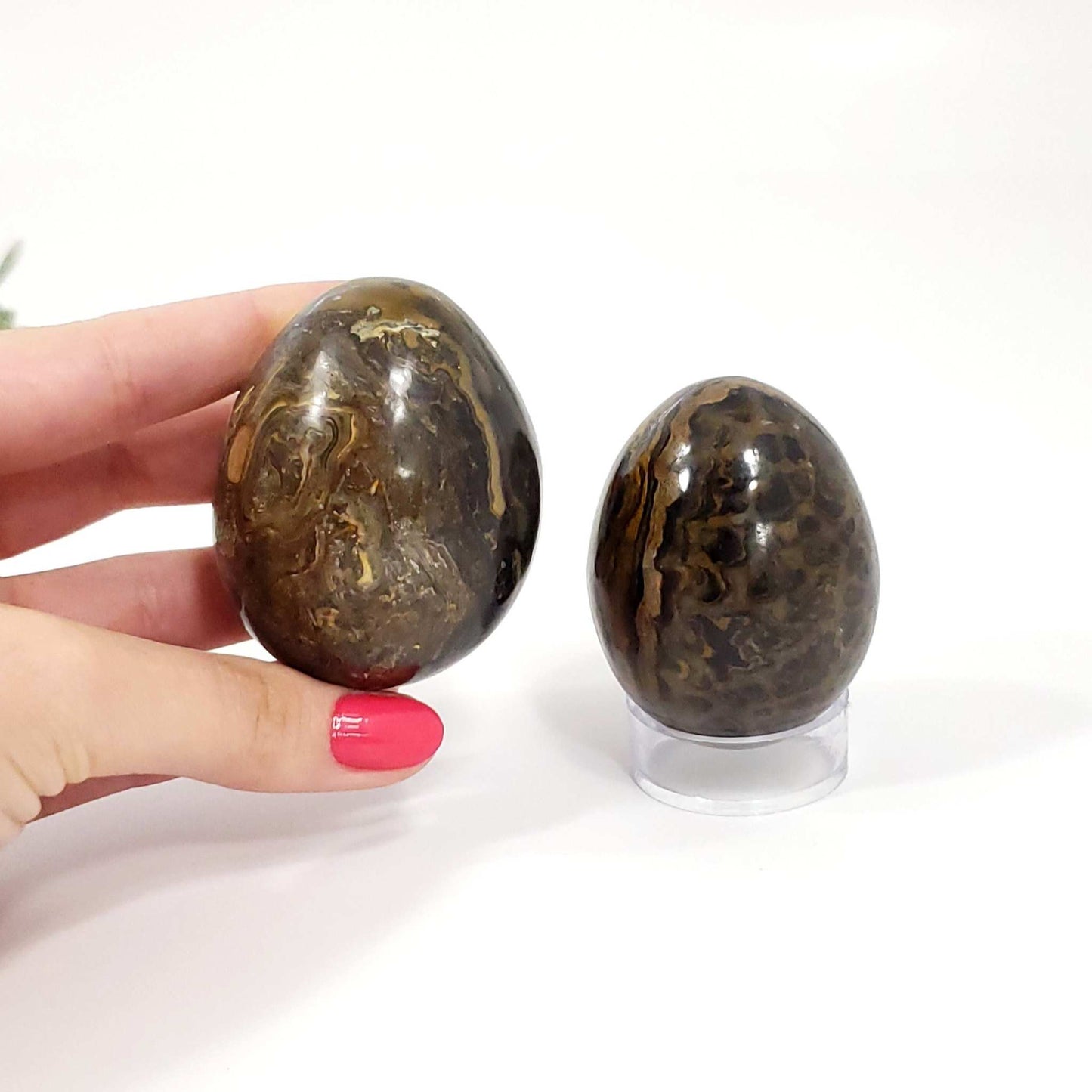 Stramatolite Crystal Fossil for Energetic Alignment