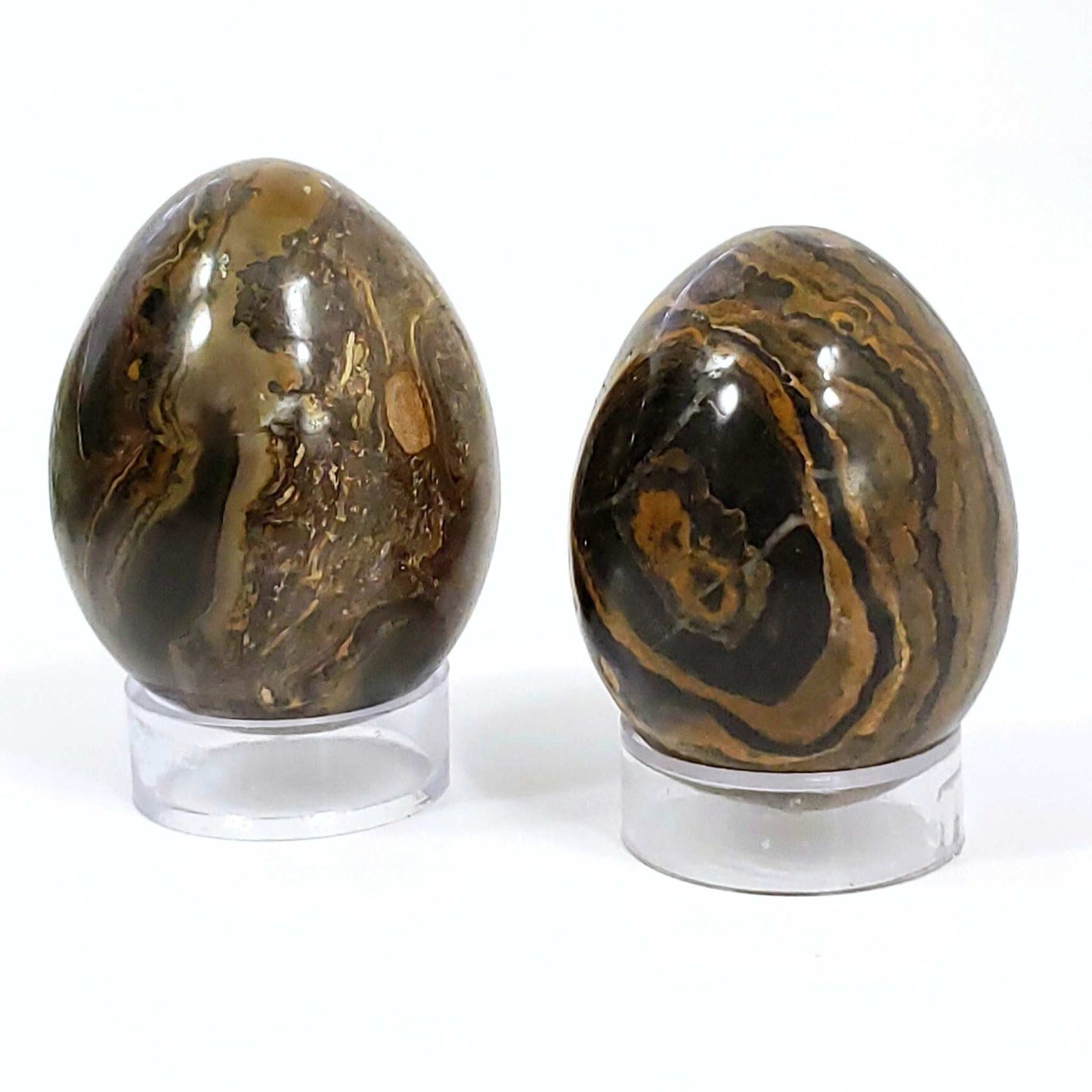 Stramatolite Crystal Fossil for Energetic Alignment