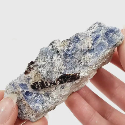 Small Raw Blue Kyanite with Garnet
