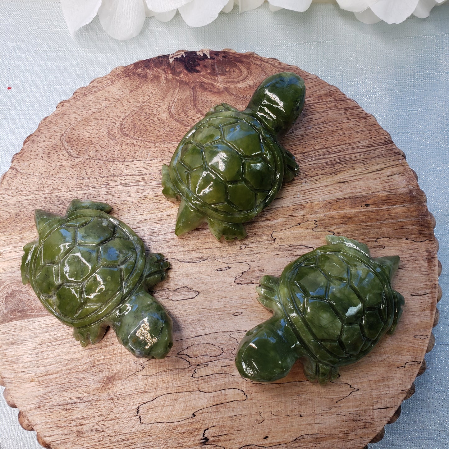 Serpentine Turtle - Crystal Happenings