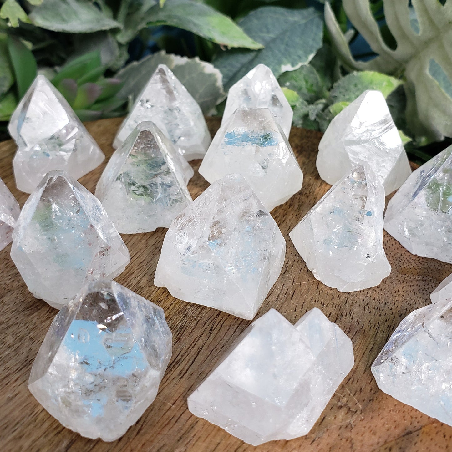 Apophyllite Points - Crystal Happenings