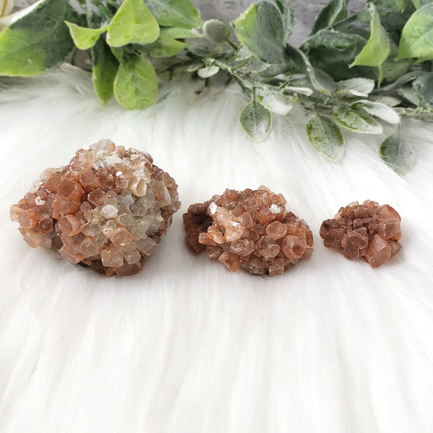 Aragonite Natural Clusters, Choose one - Crystal Happenings