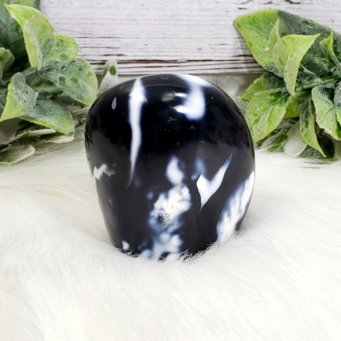 Orca Agate C - Crystal Happenings