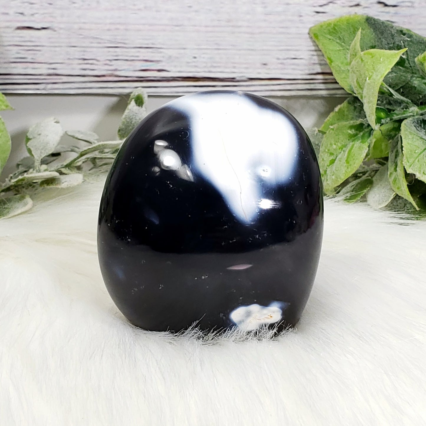 Orca Agate C - Crystal Happenings