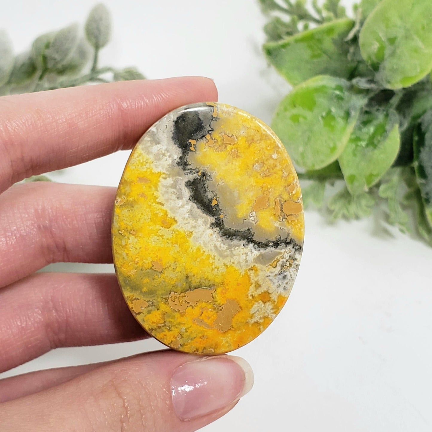 Bumble Bee Jasper Oval Pocket Stone