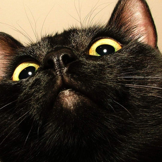 Why Friday the 13th is a Lucky Day: A Dive into Numerology and Angel Numbers