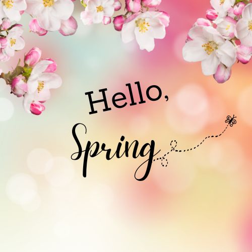 Hello Spring Banner