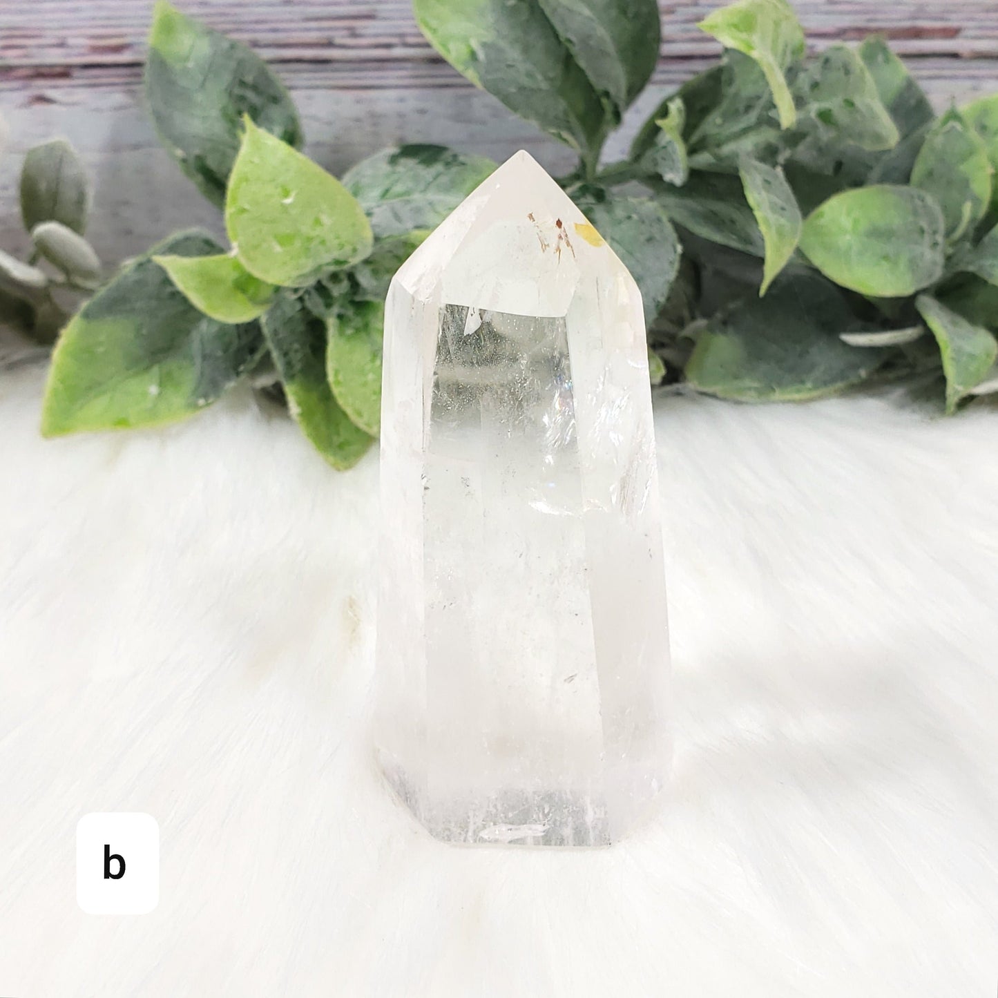 Clear Quartz Point B