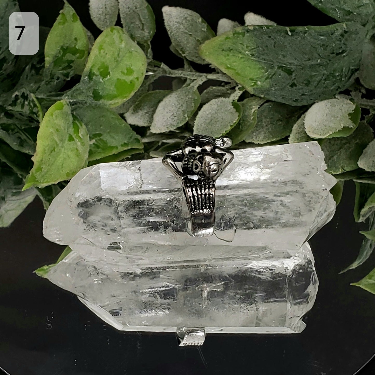 Enchanted Clear Quartz Points with Skeleton Band 80x28x34