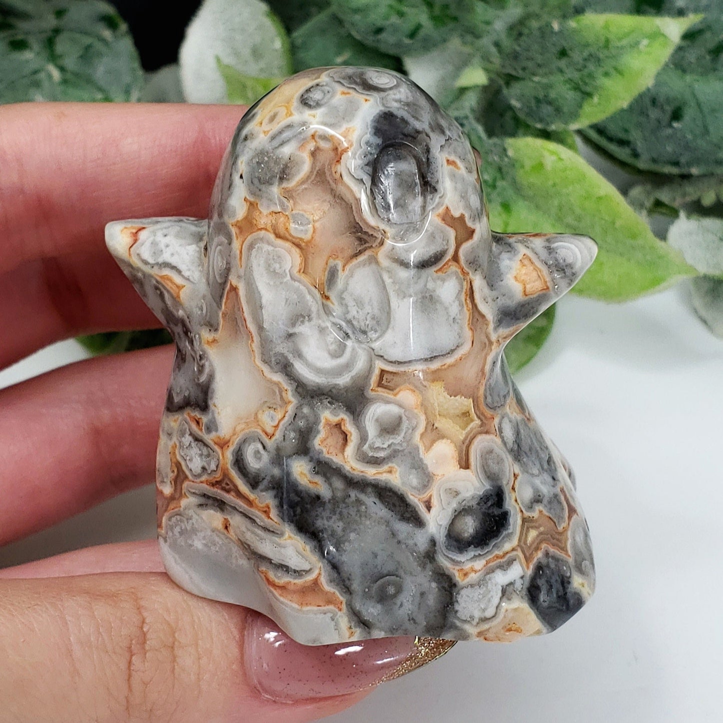 Crazy Lace Agate Ghost