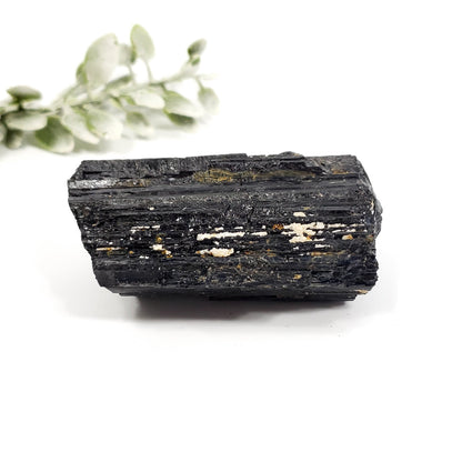 Small Natural Black Tourmaline Crystal – Grounding, Protection, and Balance