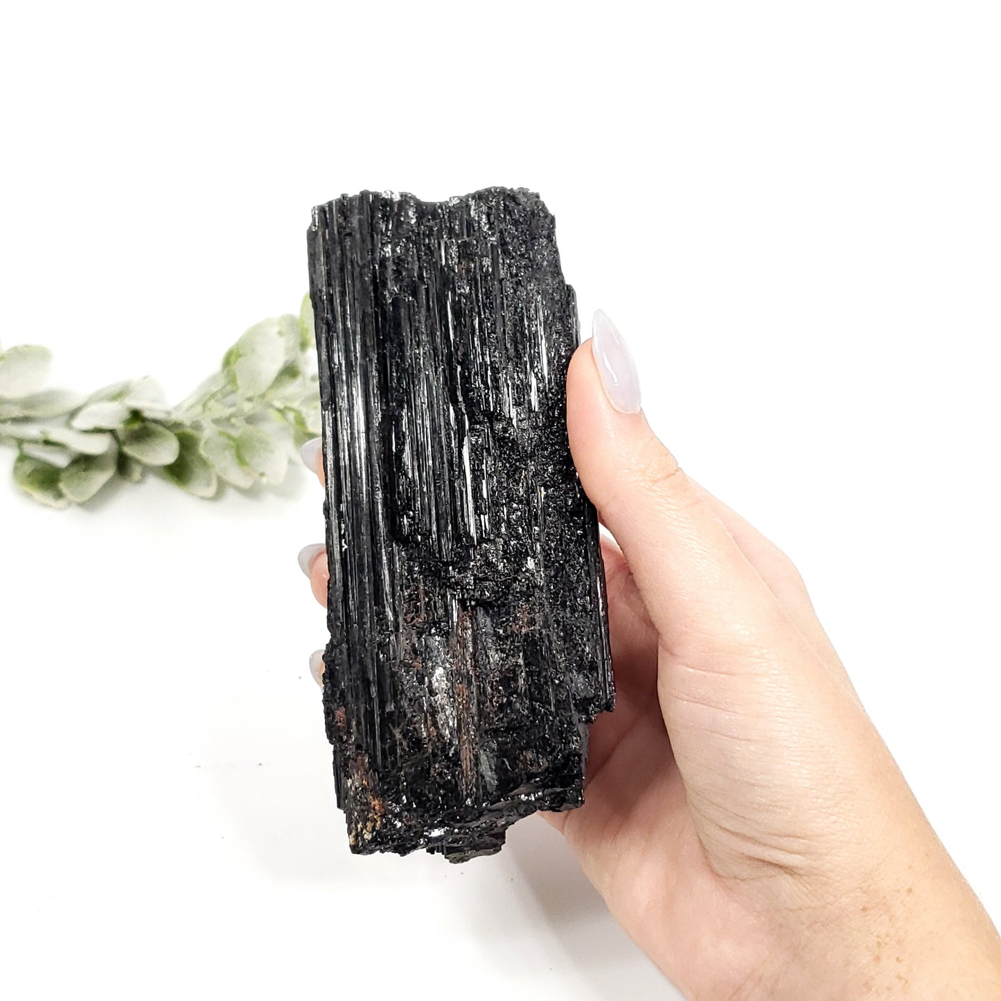 Medium Raw Black Tourmaline Crystal – Grounding, Protection, and Energy Cleansing