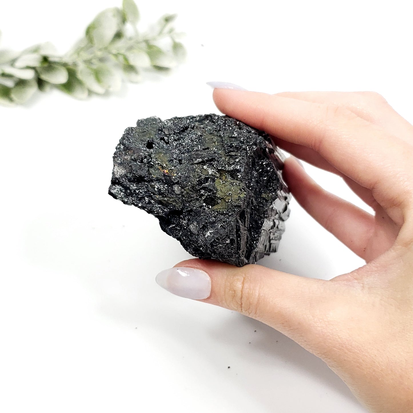 Medium Raw Black Tourmaline Crystal – Grounding, Protection, and Energy Cleansing
