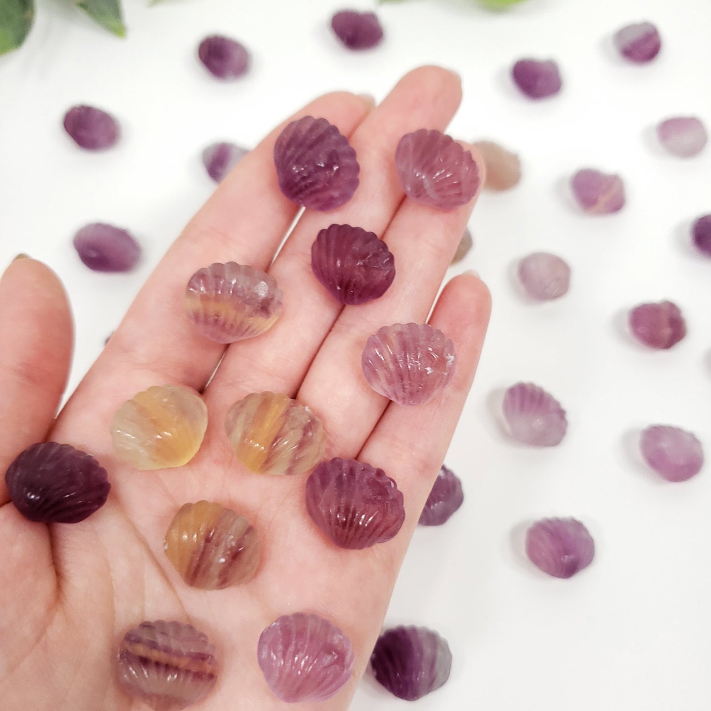 Mini Rainbow Fluorite Seashell | Pocket Crystal for Calm and Coastal Serenity
