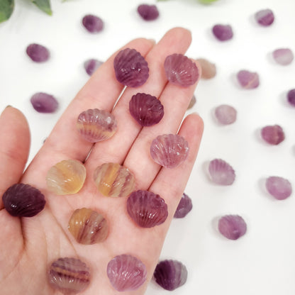 Mini Rainbow Fluorite Seashell | Pocket Crystal for Calm and Coastal Serenity