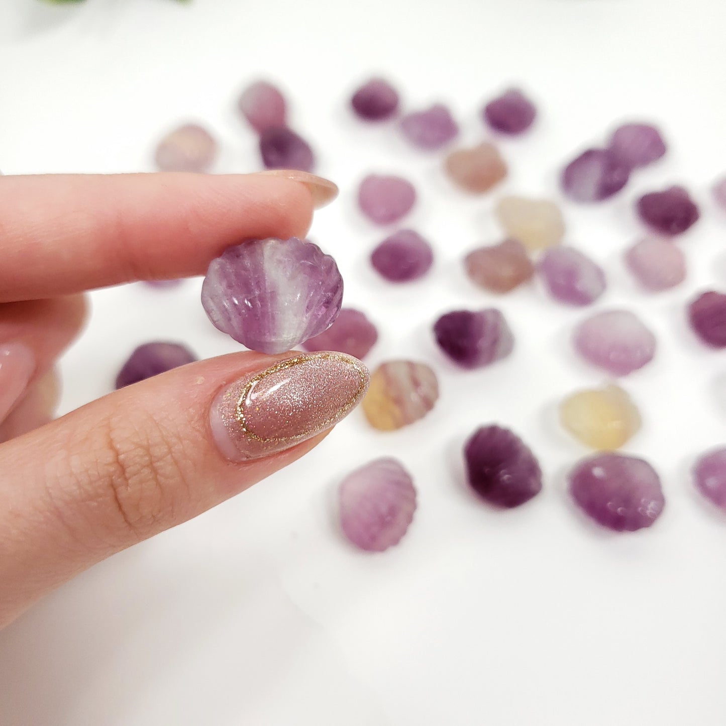 Mini Rainbow Fluorite Seashell | Pocket Crystal for Calm and Coastal Serenity