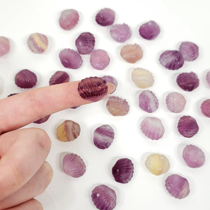 Mini Rainbow Fluorite Seashell | Pocket Crystal for Calm and Coastal Serenity