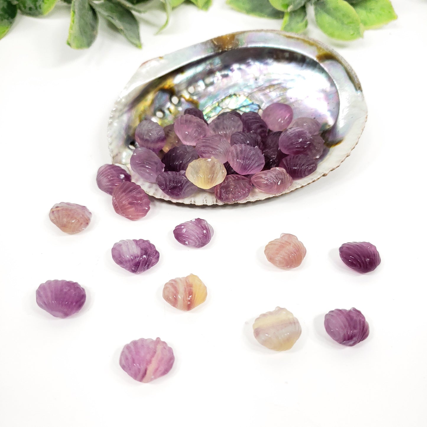 Mini Rainbow Fluorite Seashell | Pocket Crystal for Calm and Coastal Serenity