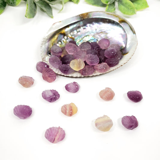 Mini Rainbow Fluorite Seashell | Pocket Crystal for Calm and Coastal Serenity