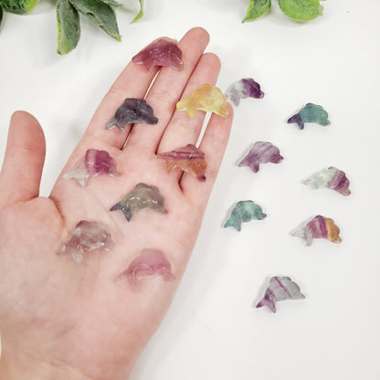 Mini Rainbow Fluorite Dolphin | Pocket Crystal for Joy and Calm