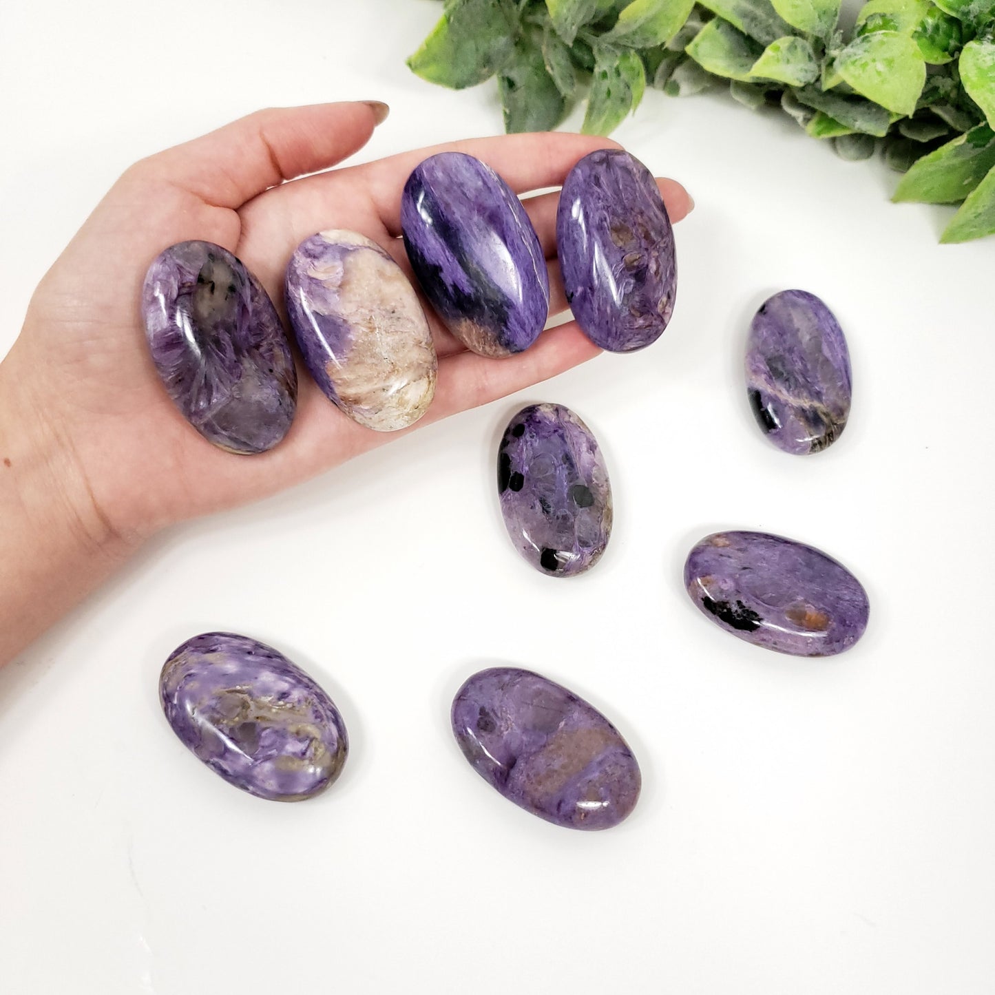 Rare Charoite Oval Pocket Stone