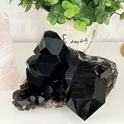 XL Smoky Quartz Cluster weighing over 4lbs