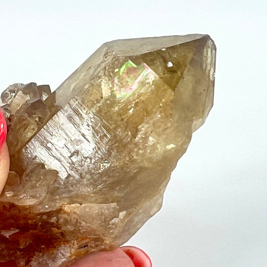 Rare Congo Citrine Point – Manifestation, Abundance & Kundalini Energy