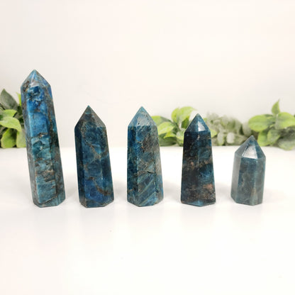 Blue Apatite Point for Clarity, Motivation and Creative Focus