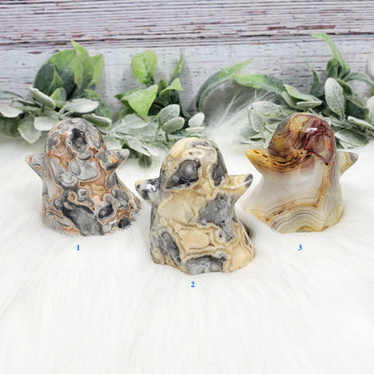 Crazy Lace Agate Ghost for Joy and Playfulness