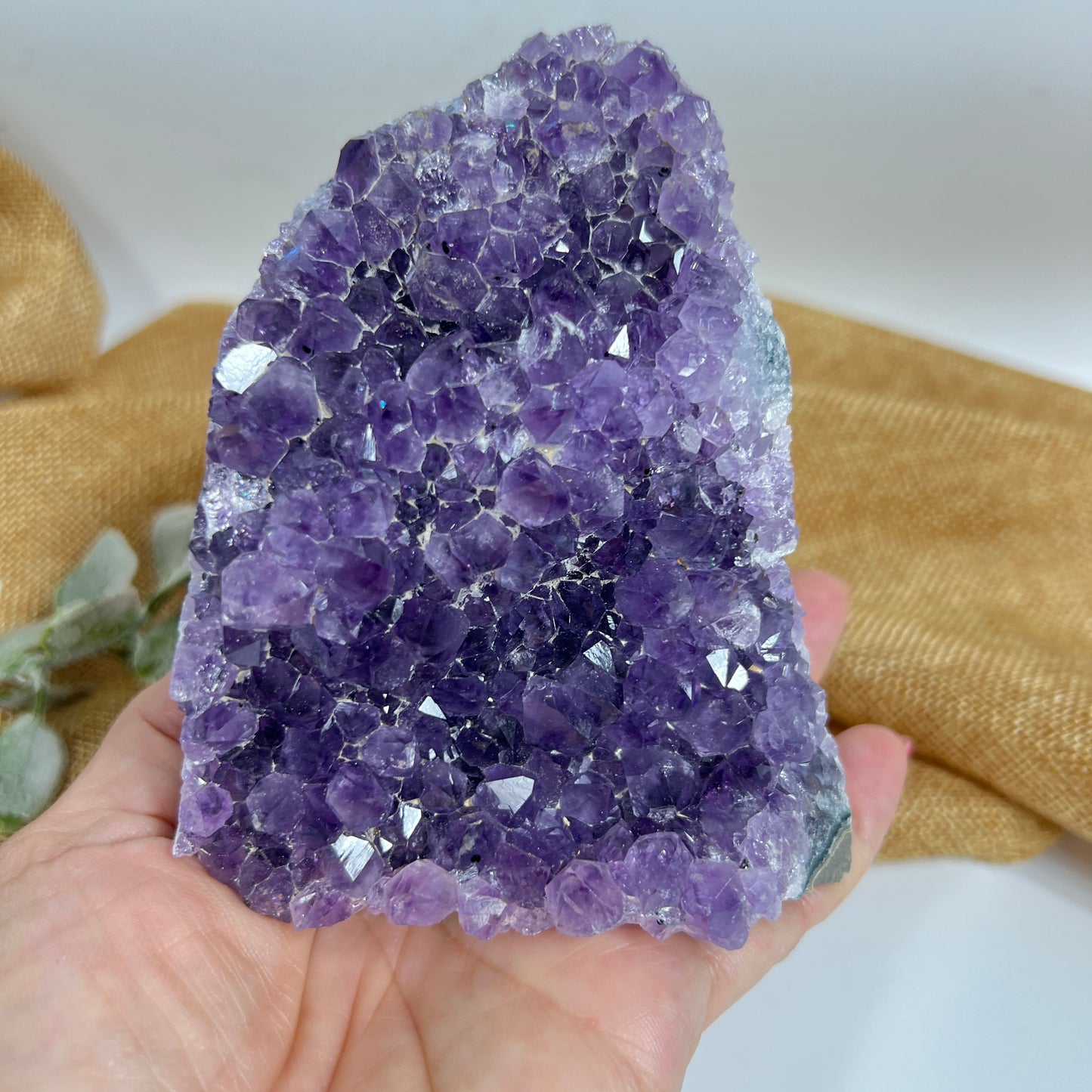 Amethyst Cluster – Crystal for Focus and Emotional Balance