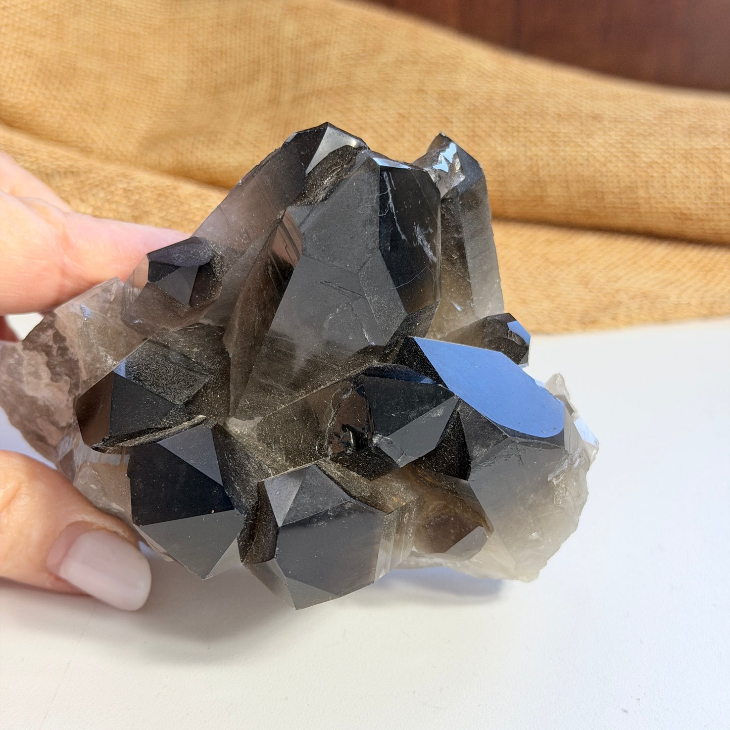 Hand holding a smoky quartz crystal cluster with a plain background