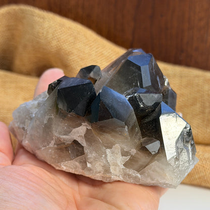 Hand holding a smoky quartz crystal cluster with a brown fabric background