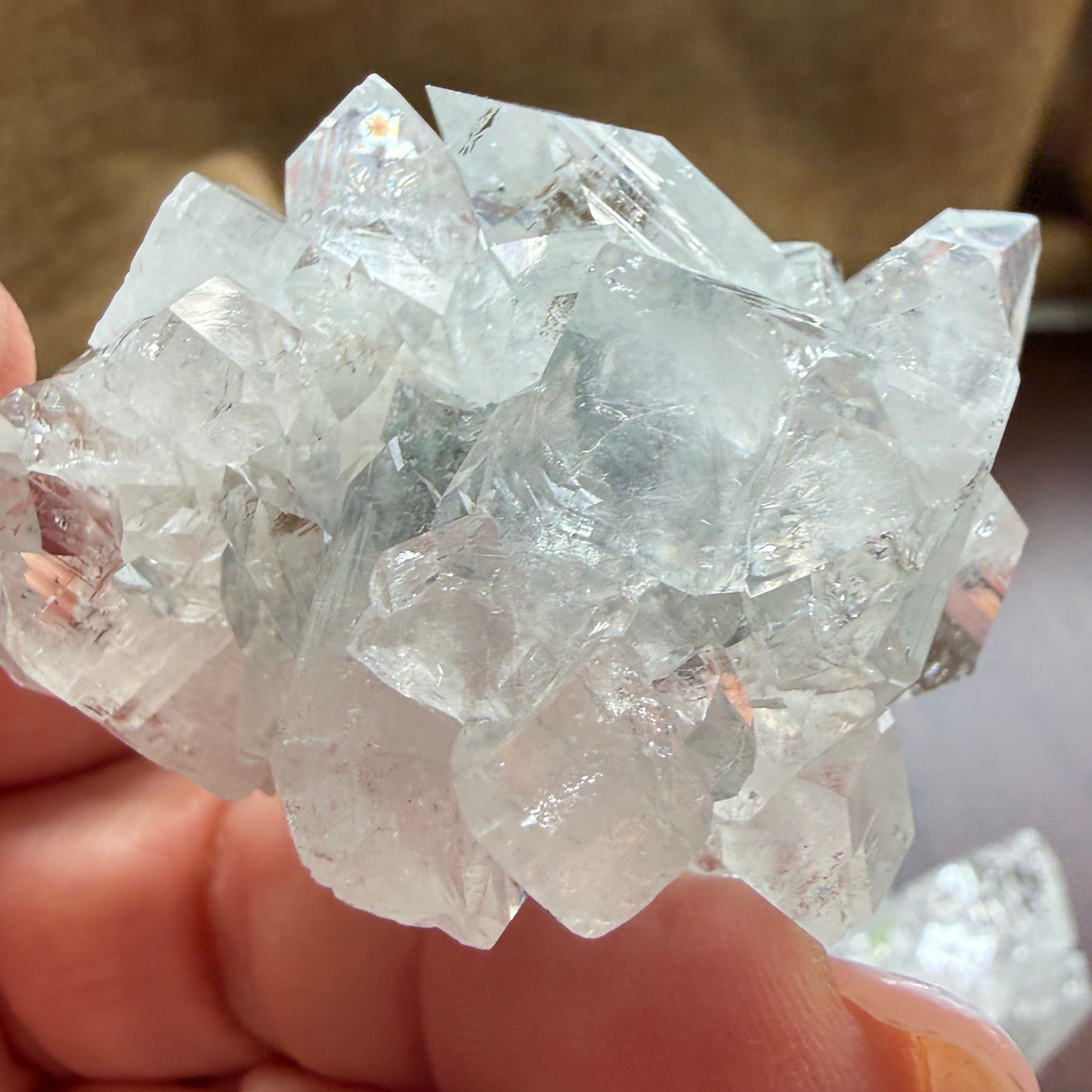 50mm premium apophyllite clusyter with clear points