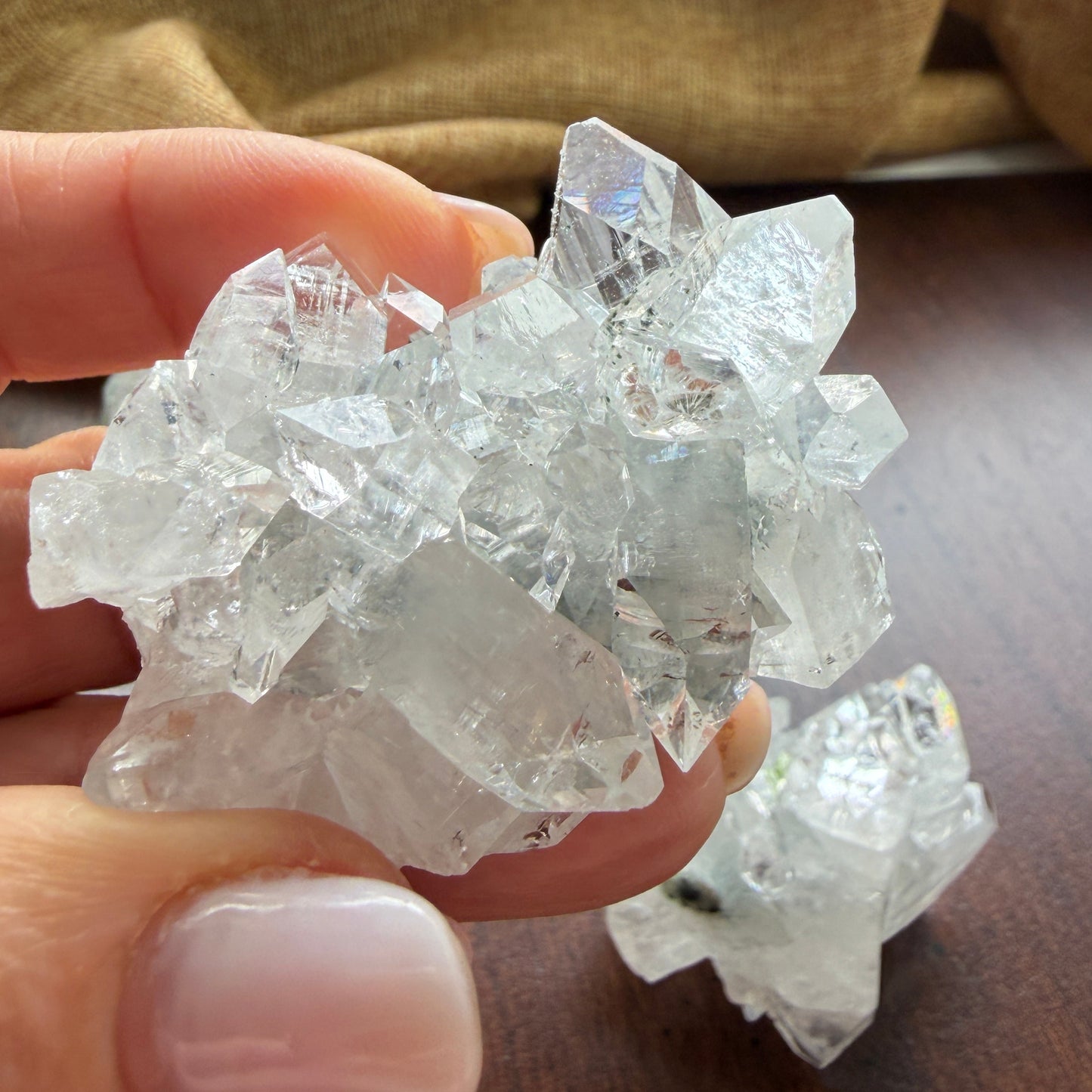 Apophyllite Cluster for Clarity, Light, and Elevated Calm