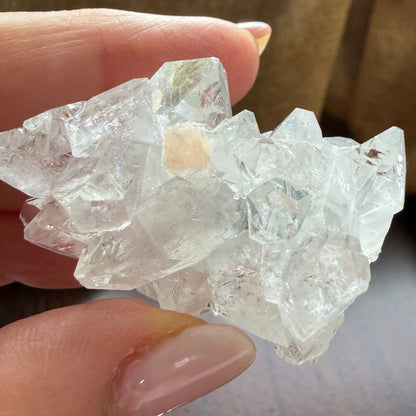 Apophyllite Cluster for Clarity, Light, and Elevated Calm