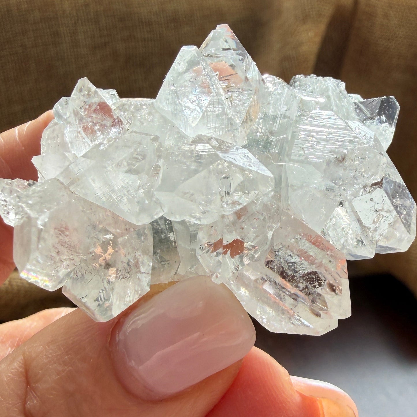 Apophyllite Cluster for Clarity, Light, and Elevated Calm