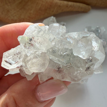 Apophyllite Cluster for Clarity, Light, and Elevated Calm