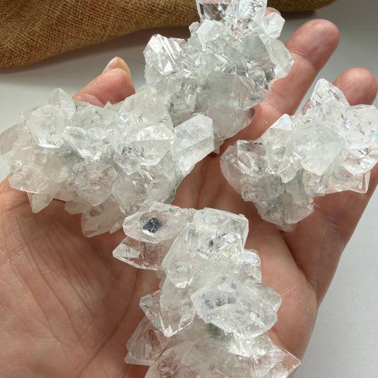 Apophyllite Cluster for Clarity, Light, and Elevated Calm